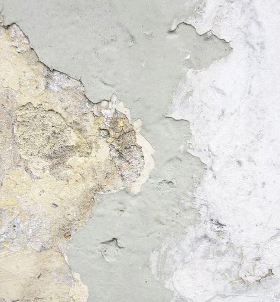 Morning walks, exploring the pattern of connectedness.