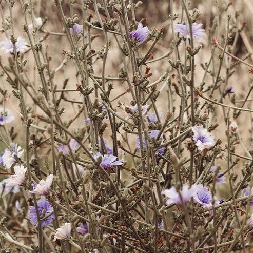 Echos of Wisdom
Here are a few inspirational quotes that have stayed with me. Some were shared by leaders I had the pleasure to work with, some derived from books I&rsquo;ve read and others simply picked up along the way when I needed a reminder to 